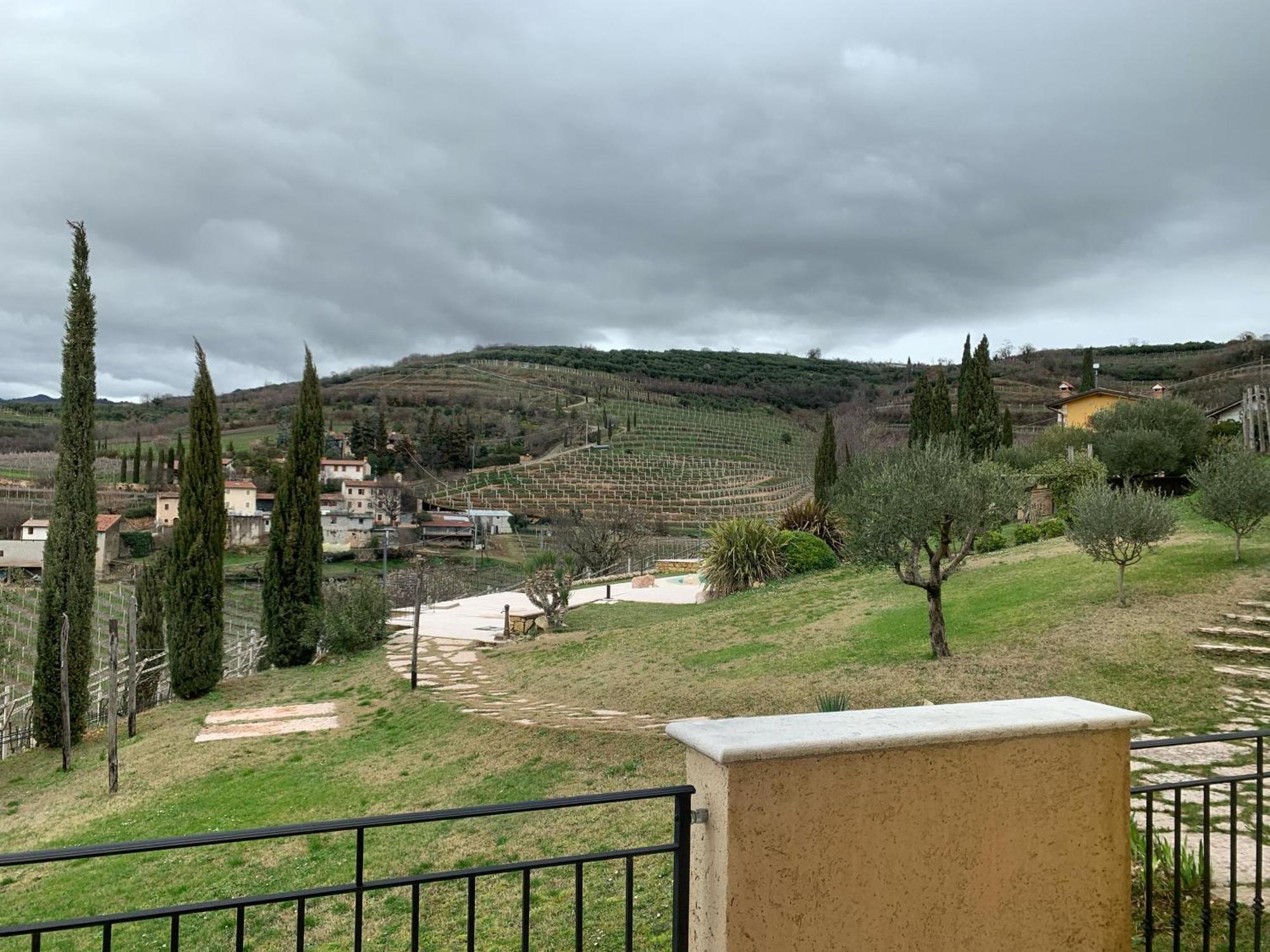 Agriturismo Tamellini 索阿韦 外观 照片